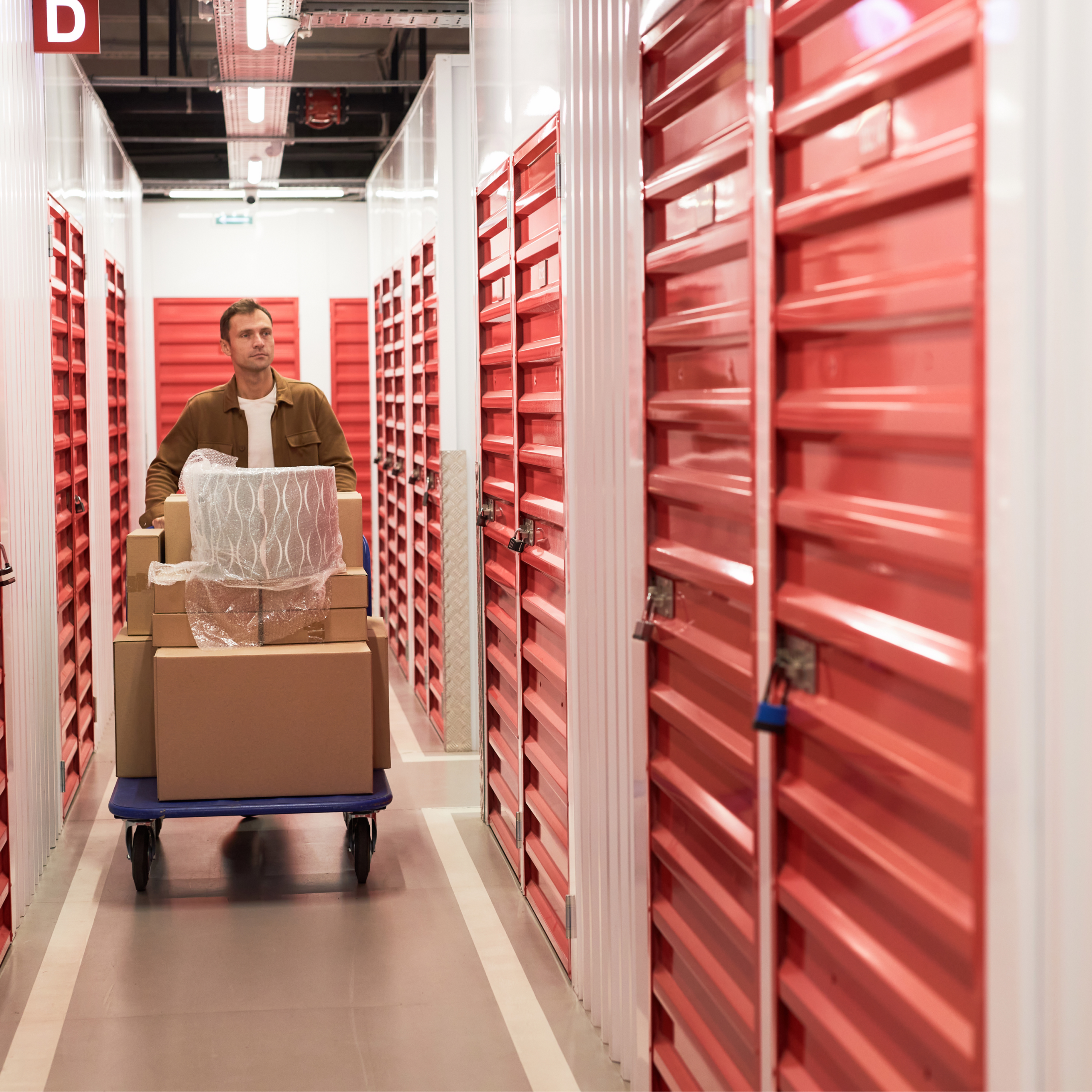 self storage advisor